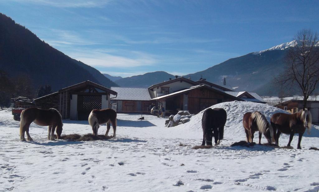 Agriturismo Maso Grisun Borzago Εξωτερικό φωτογραφία