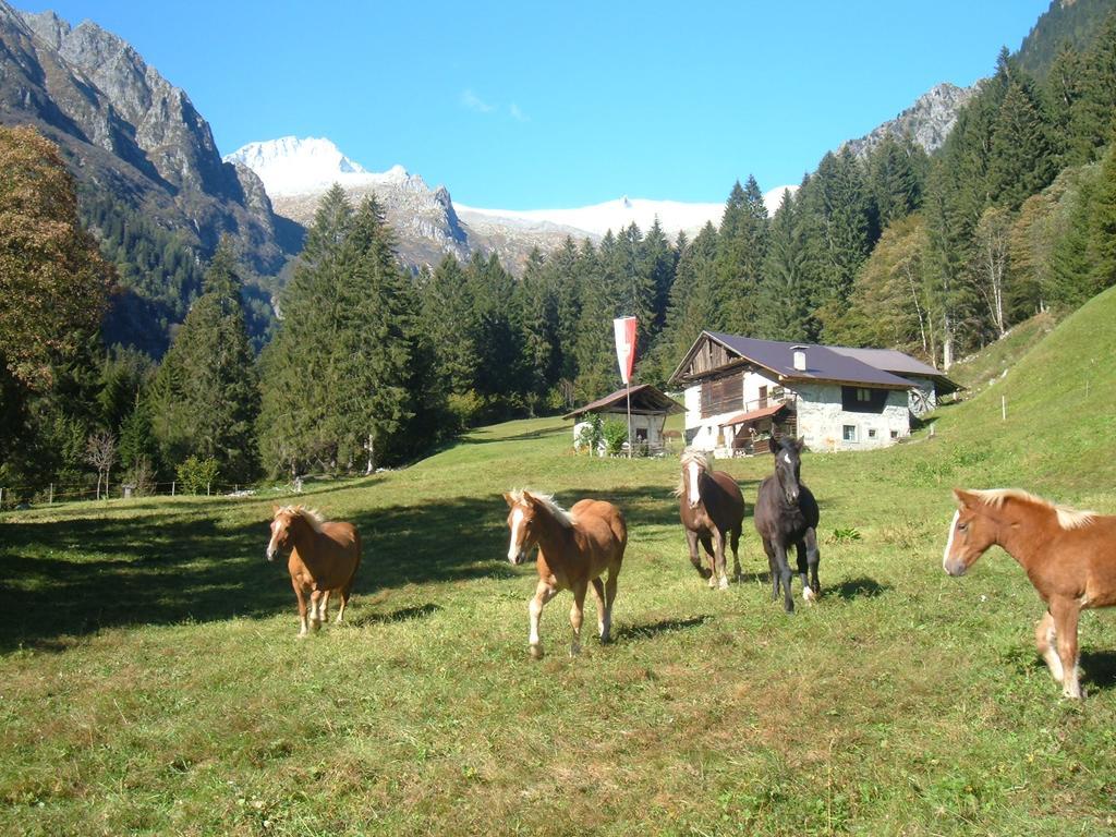 Agriturismo Maso Grisun Borzago Εξωτερικό φωτογραφία