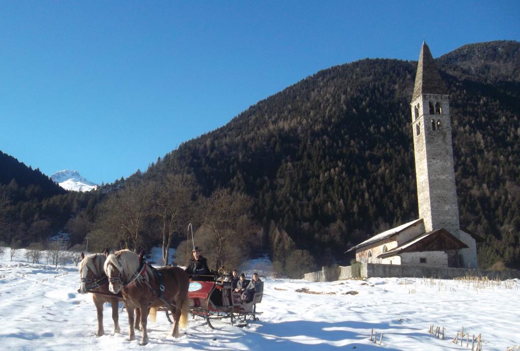 Agriturismo Maso Grisun Borzago Εξωτερικό φωτογραφία