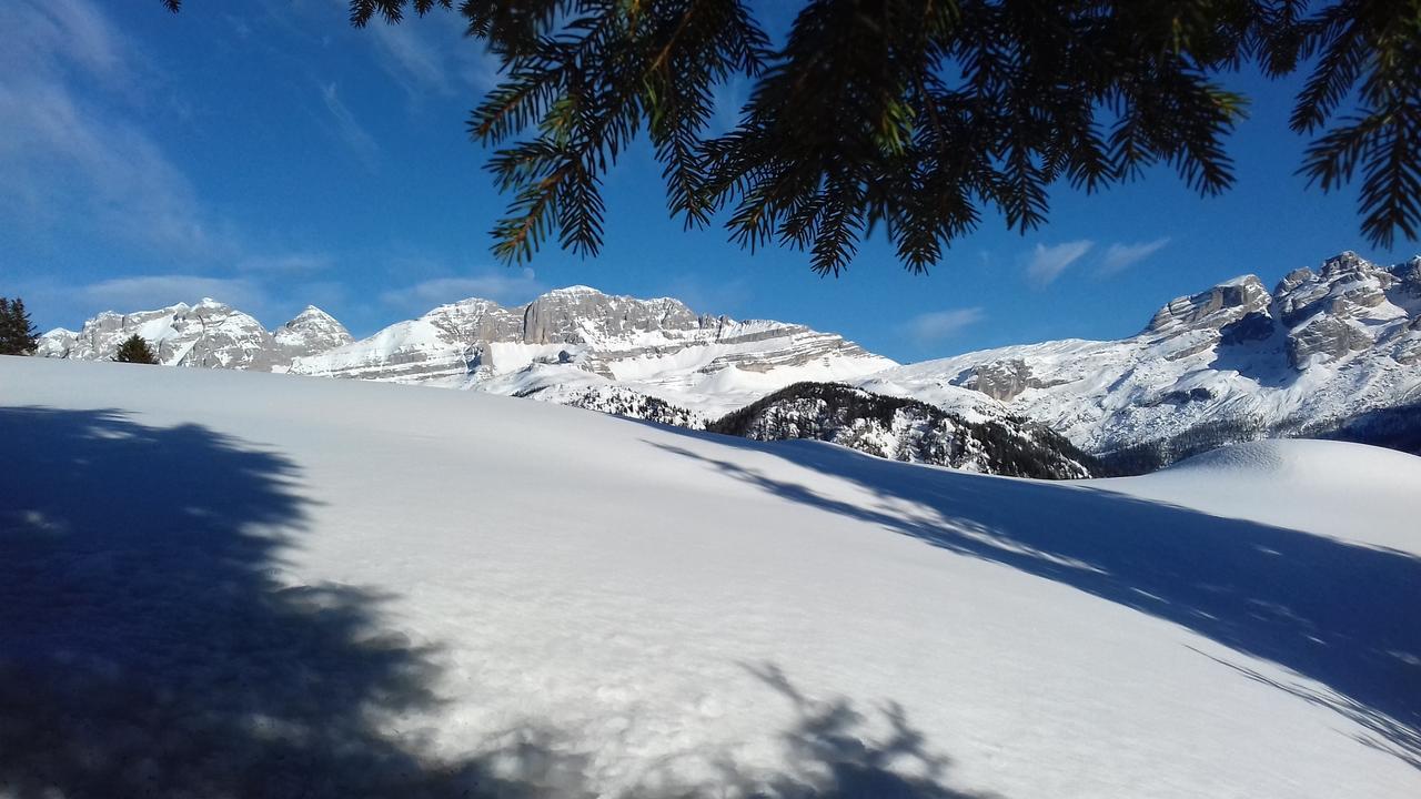 Agriturismo Maso Grisun Borzago Εξωτερικό φωτογραφία