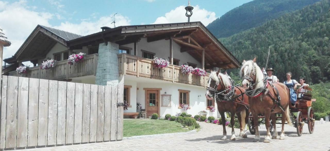 Agriturismo Maso Grisun Borzago Εξωτερικό φωτογραφία